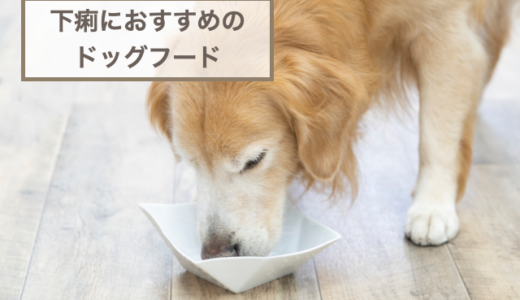 下痢におすすめのドッグフード16選｜軟便対策・シニア犬向けも