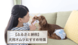 ふるさと納税返礼品で貰える犬用オムツおすすめ3選！