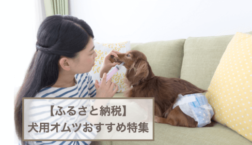 ふるさと納税返礼品で貰える犬用オムツおすすめ3選！選び方やメリットデメリットなどもご紹介