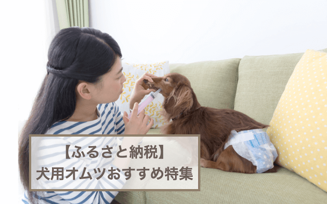 ふるさと納税返礼品で貰える犬用オムツおすすめ3選！