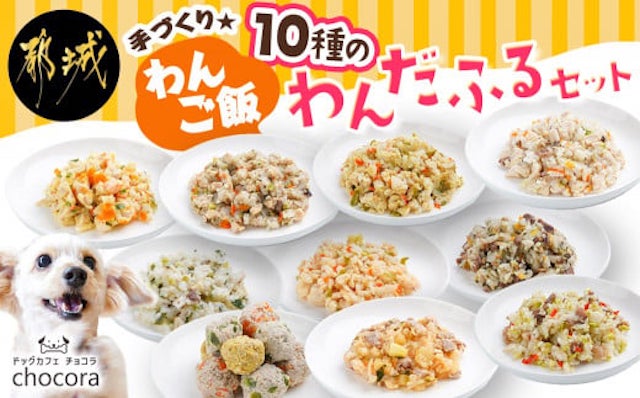 手づくり☆わんご飯『10種のわんだふるセット』