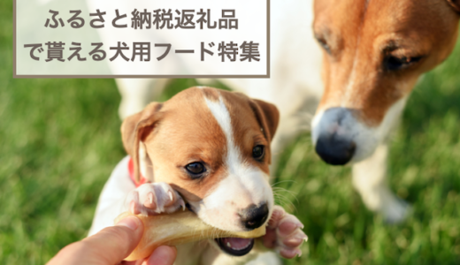 ふるさと納税返礼品で貰える犬が食べられるフードおすすめ10選！愛犬のおやつやご褒美などをご紹介