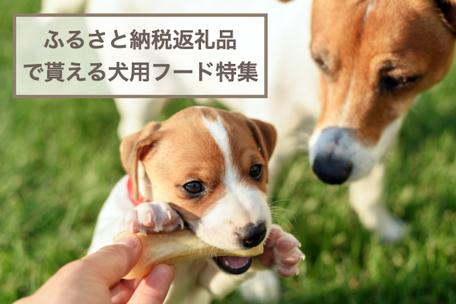 ふるさと納税返礼品で貰える犬が食べられるフードおすすめ6選！愛犬のおやつやご褒美などをご紹介