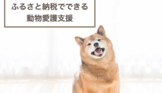 ふるさと納税でできる動物愛護支援6選！保健所犬猫のための返礼品なしの寄付