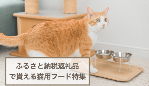 ふるさと納税返礼品で貰える猫が食べられるフードおすすめ7選！犬猫の飼い主さん必見