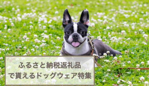 ふるさと納税返礼品で貰えるドッグウェア・犬用の服おすすめ5選！