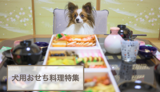 犬用おせち料理特集！無添加や国産のフードをご紹介！