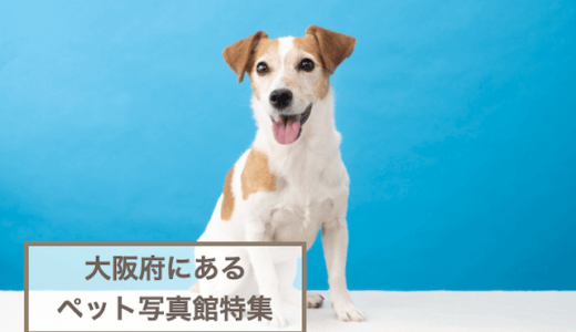 【大阪府】ペットと一緒に撮影できる写真館特集！愛犬愛猫の思い出作りにおすすめのペットフォトスタジオ5選！