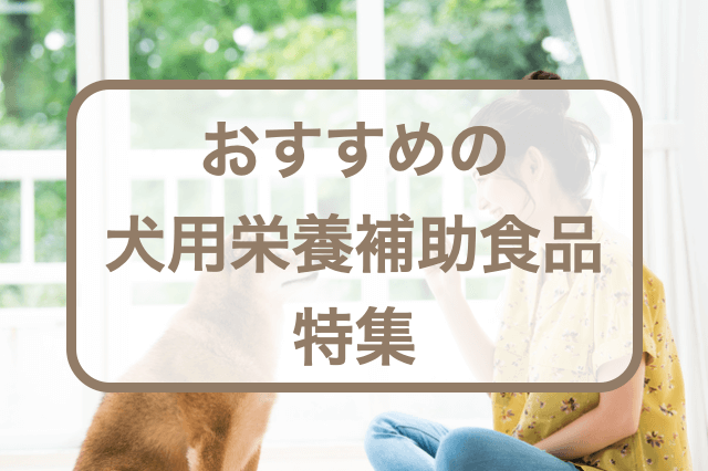 犬用の栄養補助食品おすすめ5選！与える際の注意点もご紹介