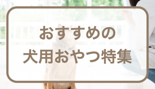 犬のおやつおすすめ8選！人気のおやつや選び方などをご紹介！