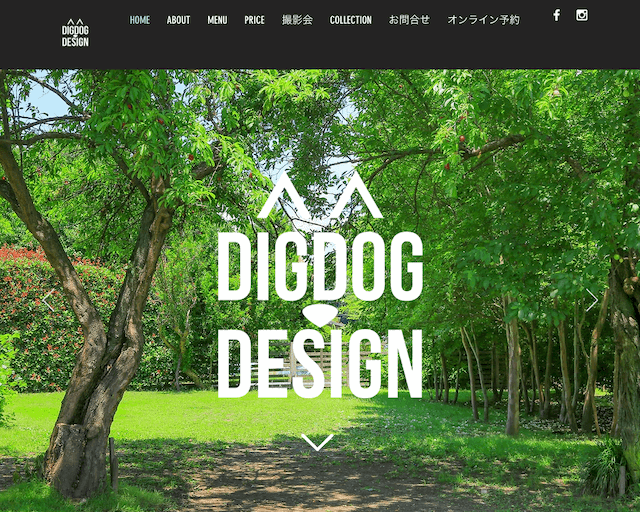 DIGDOG