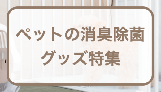 ペットの消臭・除菌に役立つグッズ5選｜犬・猫飼い向けグッズ特集