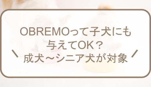 OBREMOって子犬にも与えてOK？何歳から与えていいのか解説