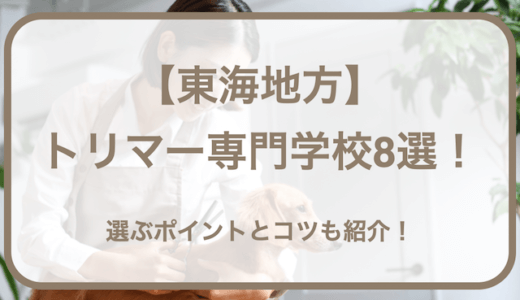 東海地方でトリマーを目指せる専門学校8選！選ぶポイントとコツ