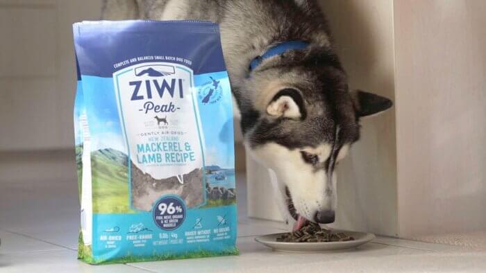 ジウィピークドッグフード(ZIWI)を食べる犬