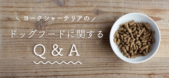 ヨークシャーテリアのドッグフードに関するQ&A