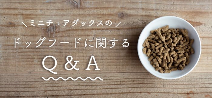 ミニチュアダックスフンドのドッグフードに関するQ&A